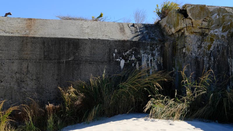 WW II Bunker at Cape May Point, festooned with grasses where the ocean once laid claim. And will again. 